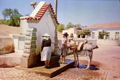 Fontaine — Algarve — César de Sá, n°18
