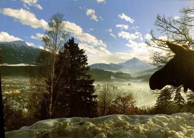 Alpenzoo Innsbruck — Tirol — Österreich — Alpenzoo Innsbruck