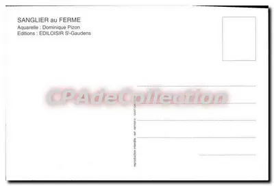 Sanglier au Ferme — Aquarelle de Dominique Pizon — Éditions EDILOISIR S'-Gaudens — Verso