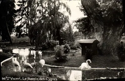 Vichy — Le Bassin des Cygnes — Édition Française