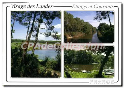 Rosto das Landas — Lagoas e Correntes — Edições de Arte VIGNES