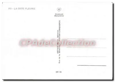 Normandia — País d'Auge — A Côte Fleurie — editor Artaind — Verso