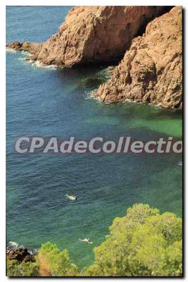 Costa mediterrânea — Nice — Conservatório do espaço litoral e das margens lacustres, n° 065004