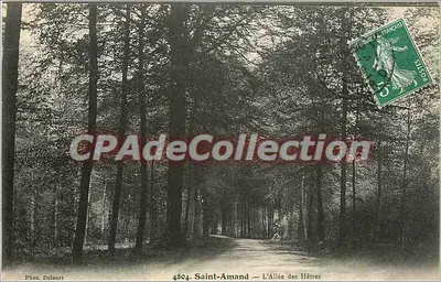 Saint-Amand — A Avenida dos Carvalhos — Fot. Delsart