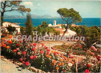 Calanques d'Issambres — O Village numa cesta de flores — Edições Dregeor