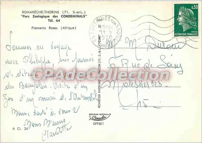 Tarjeta postal semimoderna Romaneche (S y L) Parque Zoológico de los Condeminals Flamingos Rosos (África) — Reverso