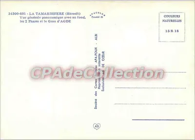 La Tamarissière — vue panoramique avec les deux phares et le Grau d'Agde en arrière-plan — Société des Cartes Postales AFA-POUX — Verso