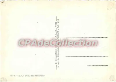 Lourdes e a Cadeia dos Pirineus — Vista panorâmica — P. Chambon, editor, n° 1010 — Verso