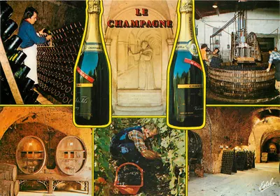 O Champagne — Editor Estel, número de série não visível