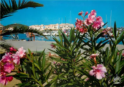 Le Cap d'Agde — Centre Naturiste — Éditions «MAR»