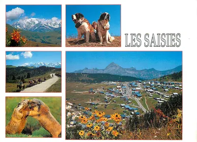 लेस सेज़ — पर्वतीय स्टेशन — एडिटर ग्रेनोबल