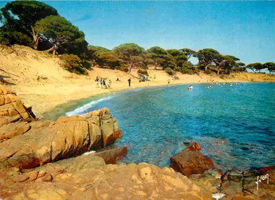 Porto-Vecchio — Sous les pins parasols, les plus belles plages de Corse — Éditions Jean-Jaurès - 94 - Paris