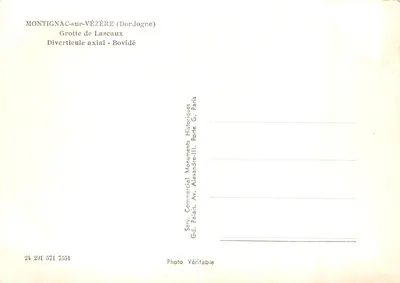 Grotta de Lascaux — Diverticule axial - Bovino — editor Serv. Comercial Monuments Historiques, Paris — Verso