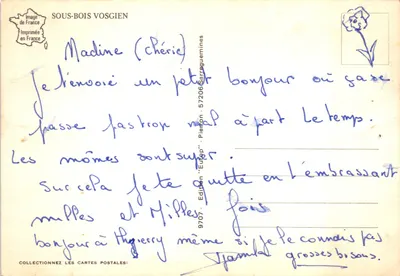 Floresta de sous-bois vosgien — caminho cercado de árvores e folhas de outono — edição 'Europ' n°9707 — Verso