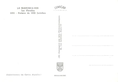 La Tranche-sur-Mer — Parterre de 5000 Jacinthes — editor LUMICAP — Verso