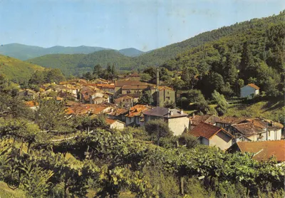 Génolhac (Gard) — vista geral do vilarejo ensolarado com vinhedos em primeiro plano — Sociedade das Cartas Postais APA-POUX - ALBI