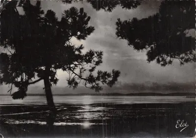 Pôr do sol sobre o Bassin d'Arcachon — Editor L. Chatagnau