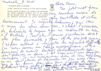 Forêt de Landes — ścieżka wśród wrzosów — VIGNES — Rewers