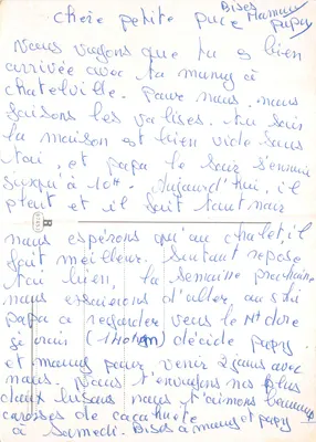 Gatinho ruivo — em um jardim florido — editor não visível — Verso