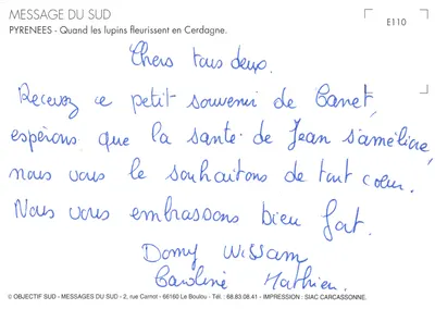 Lupinos florescendo — em frente a uma casa de madeira em Le Pailou — editor MESSAGE DU SUD, n° E110 — Verso