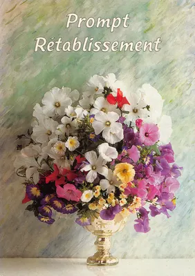 Arranjo de flores — recuperação — Fotoline