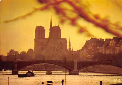 Notre-Dame de Paris — vista da Seine ao entardecer — editor IRIS
