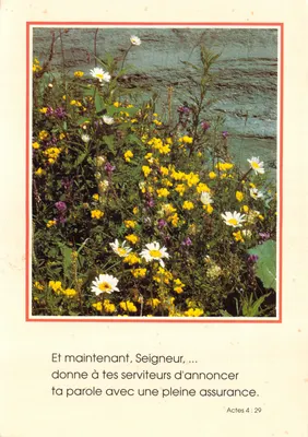 Flores selvagens perto de um curso d'água — texto bíblico Atos 4:29 — editor Lesort-Paris