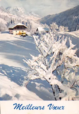 Paisagem alpina invernal — chalé nevado com floresta e montanhas — editor não visível