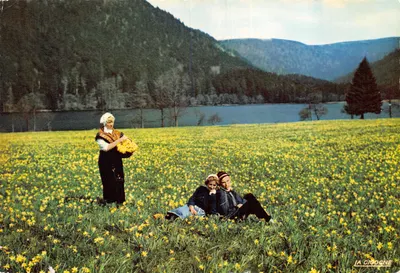 Campos de Narcisos — vista dos Vosges pitorescos — editor LA CIGOGNE