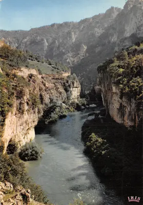 Gorges du Tarn — Les détroits — Éditions Modernes « ThéoJac »