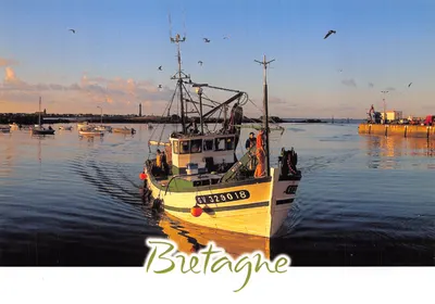 Port de pêche — bateau de pêche GV 329018 — Éditions Couleurs de Bretagne