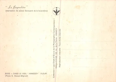 La Boyandière — lavandière savoyarde dans un canal — Édition G. Rossat-Mignod, n° 8005 — Verso