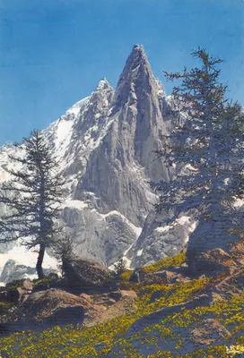 Les Drus et l'Aiguille Verte — vue depuis le Montenvers — éditeur LUMICAD