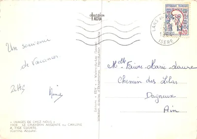 Chardon argente ou Carlina Acaulis — Edições EDY Viviers-du-Lac (Savoie) n° 2475 — Verso