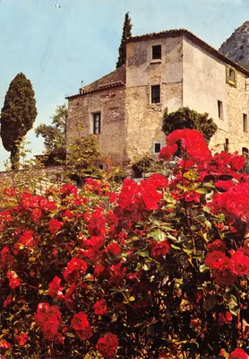 Jardin de roses — Château de style provençal — Éditions S.E.P.T. - Reproduction interdite