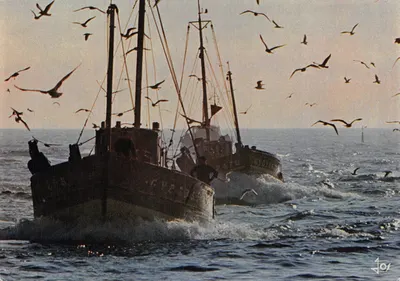 Dois barcos de pesca — cena marítima com gaviões — editor JOS, n° 29150