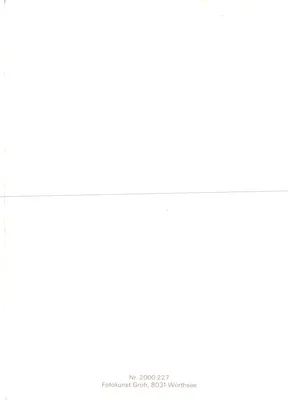 Deux fleurs blanches — scène de nature — Fotokunst Groh, 8031 Wörthsee, n° 2000 227 — Verso