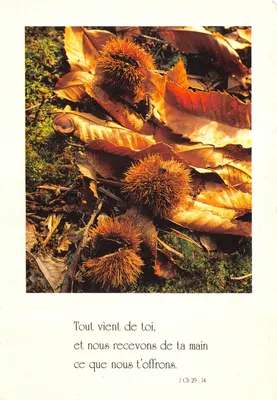 Chestnuts and leaves — scène automnale — éditeur Lesort-Paris n° CP-930-2