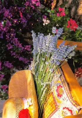Bouquet de lavande — sur un banc en bois avec chapeau de paille — Éditions Méridionales, n° 31