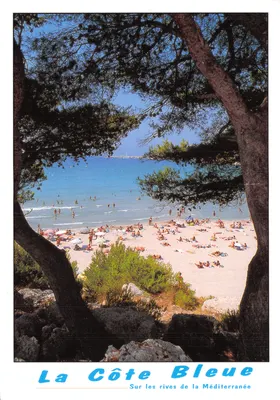 A Côte Bleue — vista de praia enquadra por pinheiros — editor Sté PEC, Septèmes les Vallons