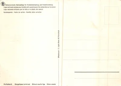 Silène à courte tige — illustration botanique — E. Lüpfe-Benz AG Rorschach — Verso