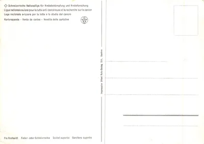 Fleur de Dianthus — rysunek botaniczny — Pia Roshardt, Genewa — Rewers