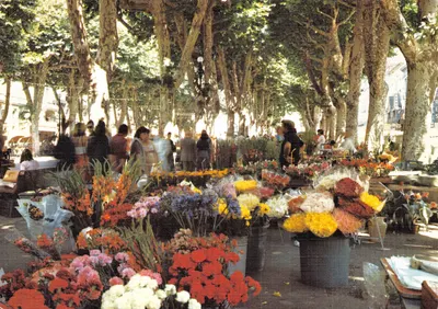 Beziers (Hérault) — Feira de flores nas Avenues Paul Riquet — Société des Cartes Postales APA-POUX
