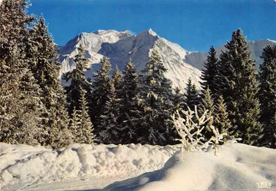 Le Massif du Mont-Blanc — vue depuis le Bettex — éditeur IRIS