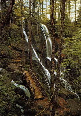 Le Hohwald (67) — Cascade de l'Andlau — Imprimé en Espagne, n° 746