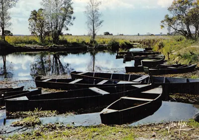 Barques en Brière — marais et roseaux — Éditions du Vieux Chouan