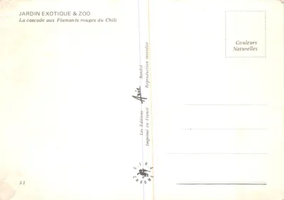 Exotyczny ogród & zoo — Wodospad z różowymi flamingami z Chili — Éditions Randol — Rewers