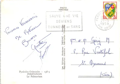 Café Champignond — shaded terrace under palm trees — publisher Checjac — Back