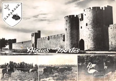 Aigues-Mortes — remparts et scènes de vie — éditeur Real-Photo-Cie des Arts Photomécaniques