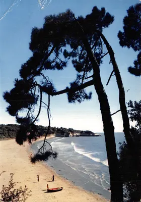 Plage de Suzac — La Pointe de Lembéchade — M. Berlaud, n°357